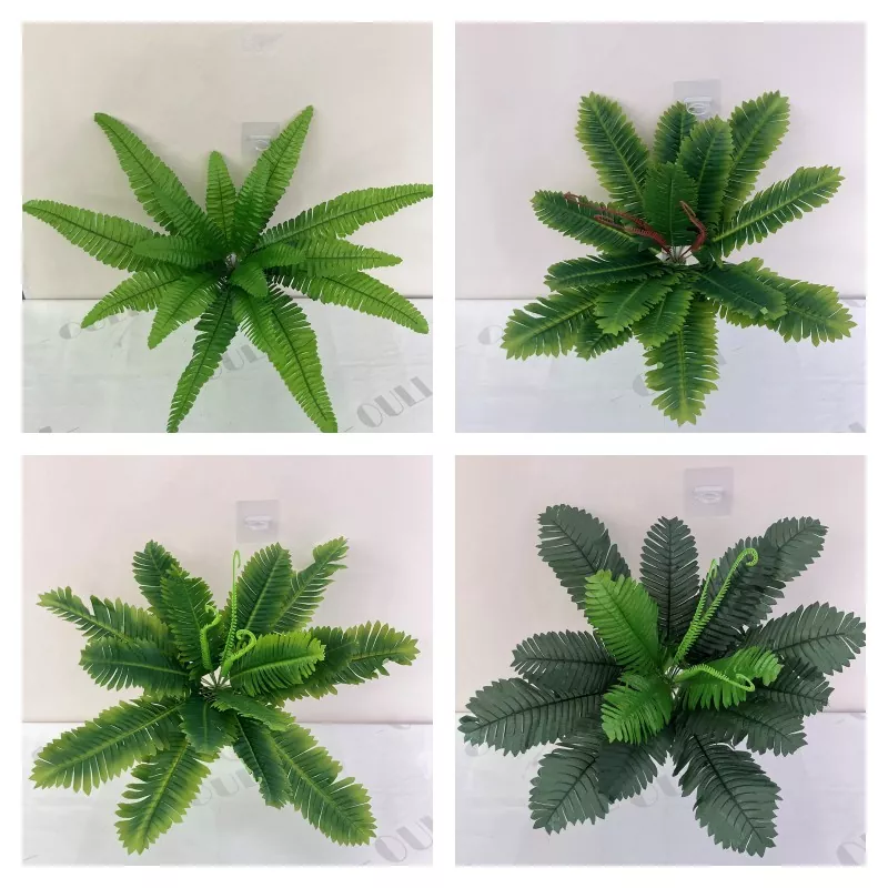 Buatan Boston Fern
