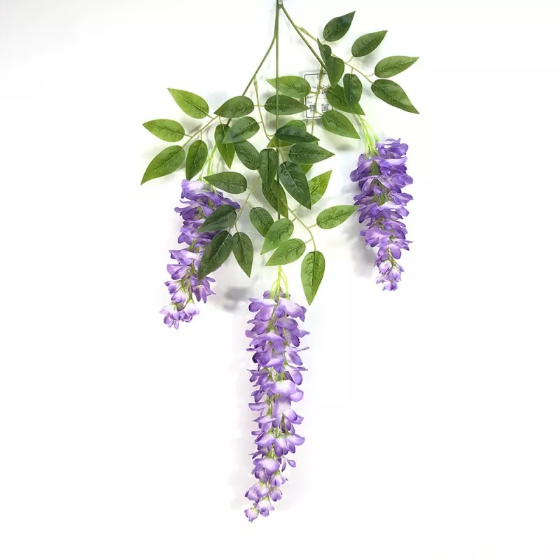 Cawangan Wisteria palsu