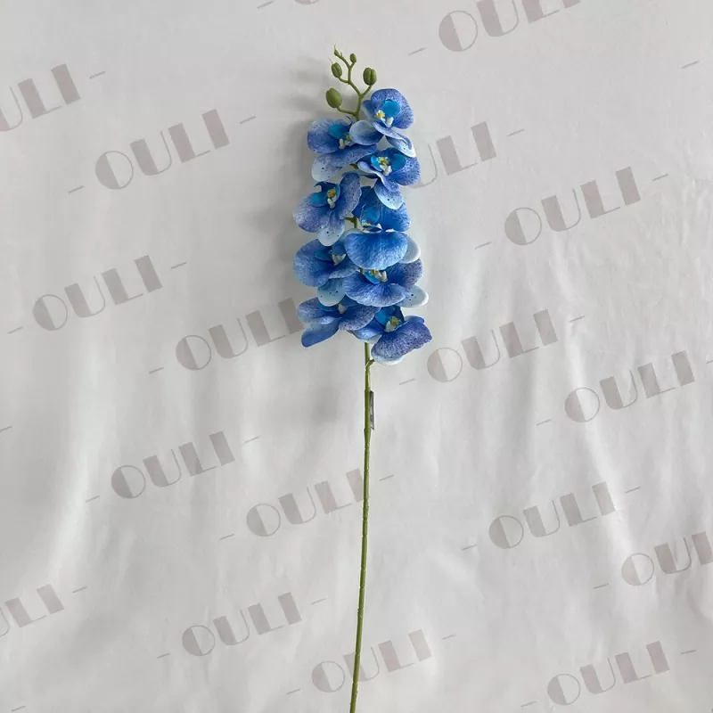 Orkid palsu pelbagai warna