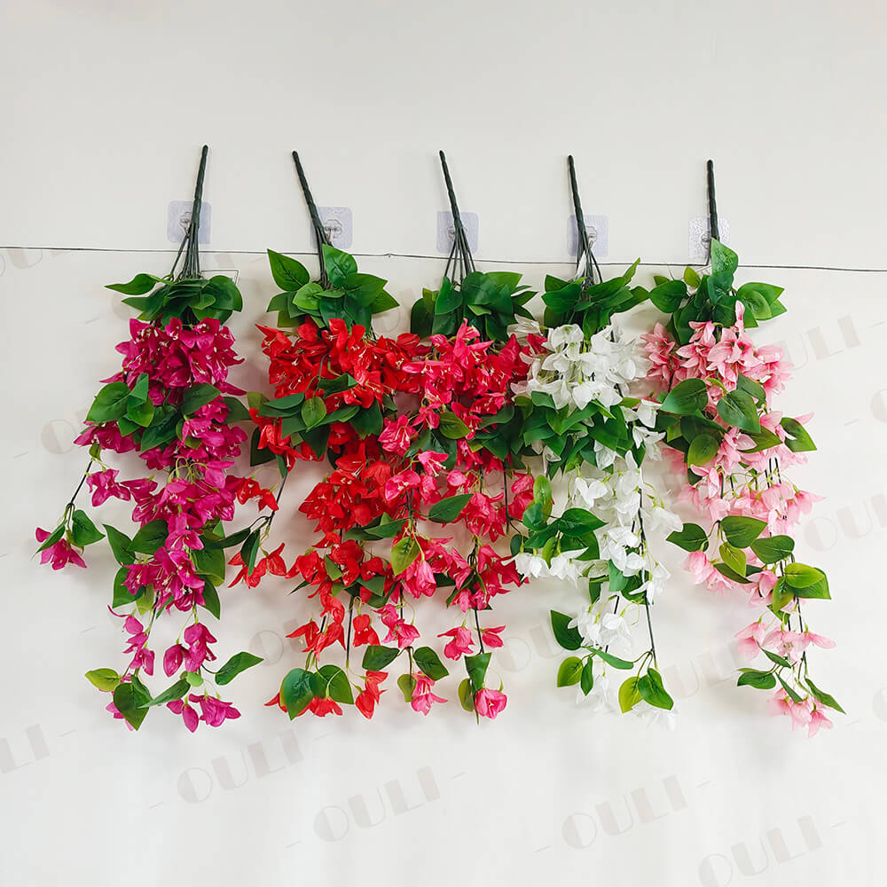 Dinding bougainvillea sutera tergantung